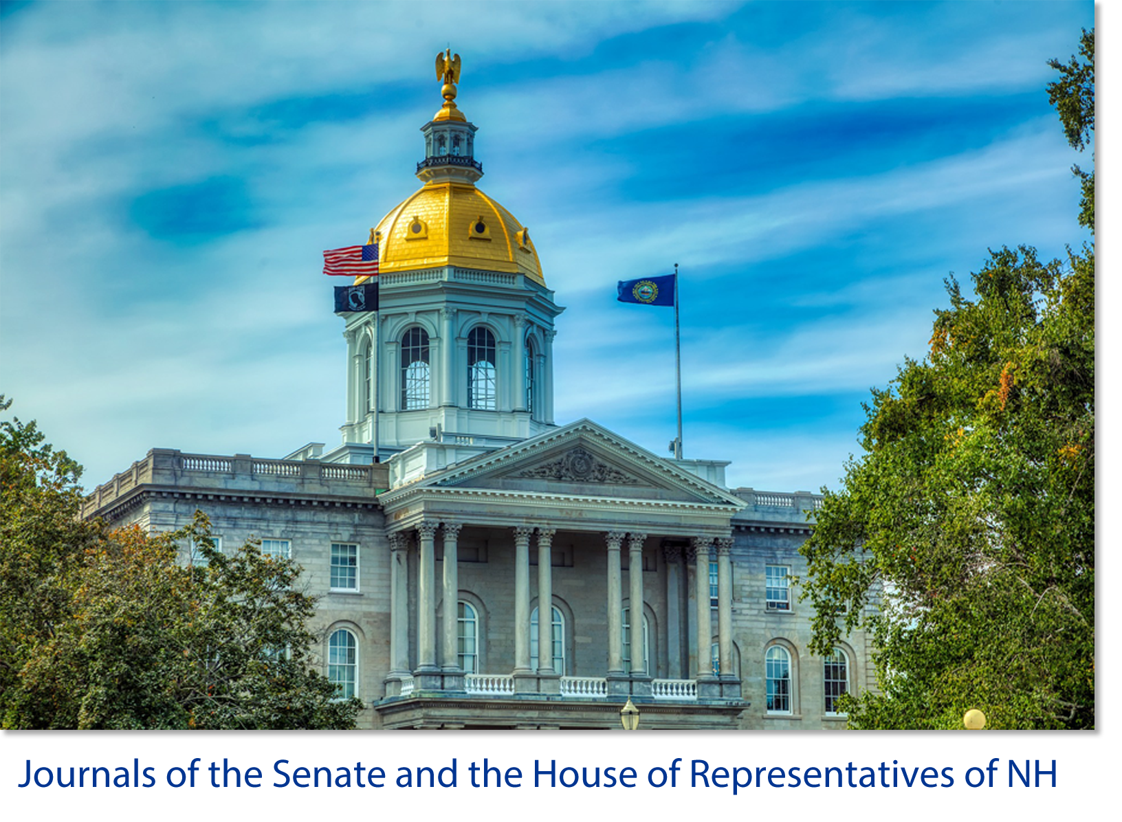 Journals of the Senate and the House of Representatives of NH