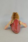 Shoes, red and white kidskin with latchets, 1780-1790, view with latchets open by Irma G. Bowen Historic Clothing Collection