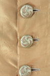 Dress, amber silk taffeta with chenille-fringed barege overdress, c. 1880, detail of underdress buttons by Irma G. Bowen Historic Clothing Collection