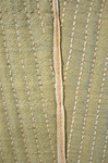Stays, green wool and natural linen with whalebone, c. 1780, detail of seam tape
