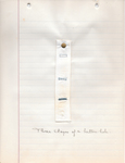 Home Economics sewing sample, 1921, stages of making a buttonhole