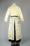 Dress, embroidered voile over a black silk satin skirt, 1910s, back view by Irma G. Bowen Historic Clothing Collection