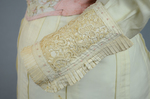 Dress, cream wool trimmed with lace, pink velvet, and multi-colored machine embroidery, 1908, detail of sleeve by Irma G. Bowen Historic Clothing Collection