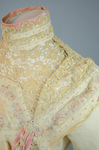 Dress, cream wool trimmed with lace, pink velvet, and multi-colored machine embroidery, 1908, detail of upper bodice closure by Irma G. Bowen Historic Clothing Collection