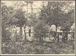 Group of Morris dancers at Pinewoods Camp, 1939; image #46 referenced in letter from Elisabeth S. Burns to Brad Foster, September 8, 1990