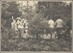 Group of Morris dancers at Pinewoods Camp, 1939; image #39 referenced in letter from Elisabeth S. Burns to Brad Foster, September 8, 1990