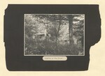 Pinewoods Camp photographic album: page 005 by Buckie, Robert H.