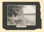 Pinewoods Camp photographic album: page 0010 by Buckie, Robert H.