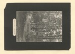 Pinewoods Camp photographic album: page 0013 by Buckie, Robert H.