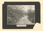 Pinewoods Camp photographic album: page 0014 by Buckie, Robert H.