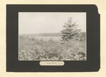 Pinewoods Camp photographic album: page 0017 by Buckie, Robert H.
