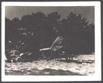 Cobb and Hurns families at the beach, 1949 by Unknown