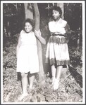 Gretel Anne Cobb and Marilyn Eva Cobb standing among trees, 1961 by Cobb, Ivorey, 1911-1992