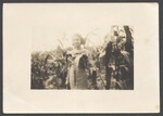 Elsie Margaret Stanton Cobb standing in corn field by Unknown