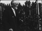 Ivan Michurin, Russian botanist, on his island near Moscow, Russia, USSR, ca.1932-1933 by Jacobi, Lotte, 1896-1990