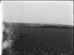 Landscape in Michurinsk, Russia, USSR, ca. 1932-1933 by Jacobi, Lotte, 1896-1990