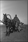 Man in a wagon pulled by a horse in Michurinsk, Russia, USSR, ca. 1932-1933 by Jacobi, Lotte, 1896-1990