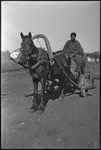 Man in a wagon pulled by a horse in Michurinsk, Russia, USSR, ca. 1932-1933 by Jacobi, Lotte, 1896-1990