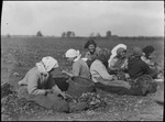 Female workers with baskets in a field, Russia, USSR, ca. 1932-1933 by Jacobi, Lotte, 1896-1990