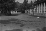 A dog market in a cultural park in Moscow, Russia, USSR, ca. 1932 by Jacobi, Lotte, 1896-1990