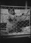 A baby in the Dietrich family standing in a crib in Moscow, Russia, USSR, ca. 1932-1933 by Jacobi, Lotte, 1896-1990