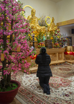 Woman Praying during a Buddhist Service, 2017 by Becky Field