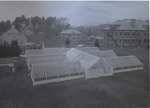 Greenhouses, exterior view from DeMeritt Hall, March 1918 by Clement Moran