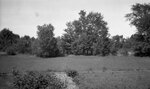Field and trees between Congreve Hall and Smith Hall, August 19, 1924 by Pond, Bremer Whidden, 1884-1959