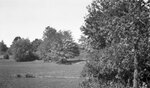 Field and trees with path between Congreve Hall and Smith Hall, August 19, 1924 by Pond, Bremer Whidden, 1884-1959