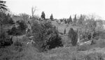 Bonfire Hill, distant view, April 21, 1931 by Pond, Bremer Whidden, 1884-1959