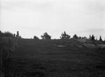 Cow pasture and fence, July 22, 1931 by Pond, Bremer Whidden, 1884-1959