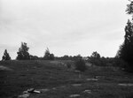 Cow pasture, July 22, 1931 by Pond, Bremer Whidden, 1884-1959