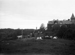 Cow pasture behind Thompson Hall, July 22, 1931 by Pond, Bremer Whidden, 1884-1959