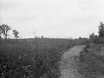 Dirt road near Bonfire Hill, July 22, 1931 by Pond, Bremer Whidden, 1884-1959