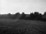 Field with trees, December 31, 1931 by Pond, Bremer Whidden, 1884-1959