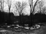 Congreve Hall through trees, January 23, 1932 by Pond, Bremer Whidden, 1884-1959