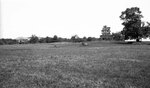 Hamilton Smith Library and Hood House from field, undated by Pond, Bremer Whidden, 1884-1959