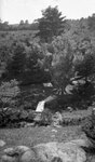 College Brook Ravine Ampitheater, August 19, 1924 by Pond, Bremer Whidden, 1884-1959