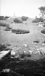 College Brook Ravine Ampitheater, August 19, 1924 by Pond, Bremer Whidden, 1884-1959