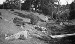 College Brook Ravine Ampitheater, August 19, 1924 by Pond, Bremer Whidden, 1884-1959