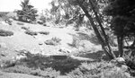 College Brook Ravine Ampitheater, August 19, 1924 by Pond, Bremer Whidden, 1884-1959