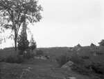 Cow pasture, July 22, 1931 by Pond, Bremer Whidden, 1884-1959