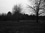 Field with trees, January 23, 1932 by Pond, Bremer Whidden, 1884-1959