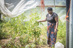 Burundi Woman in the Community Gardens, 2018 by Becky Field