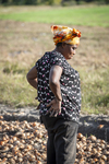 Rwandan Woman Taking a Break in the Onion Fields, 2018 by Becky Field